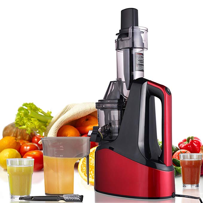 1.2L Slow Masticating Juicer with Wide Chute Easy Cleaning, Easy to Squeeze Fruit and Vegetable Juice,Tastes Better and Fresher (Juicer)